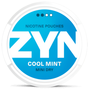 ZYN Cool Mint Mini Dry
