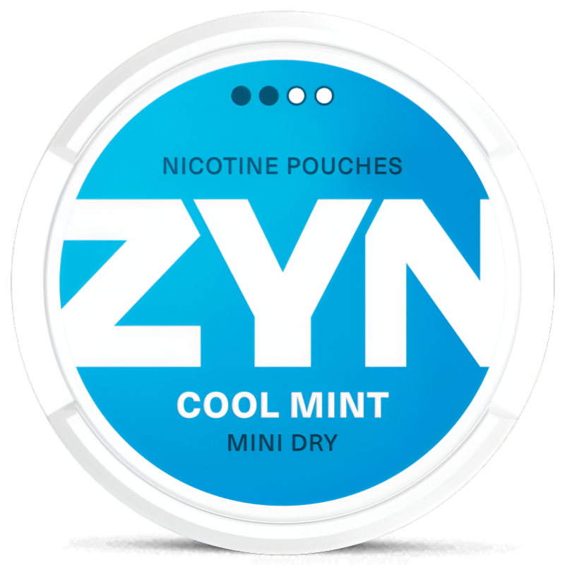ZYN Cool Mint Mini Dry